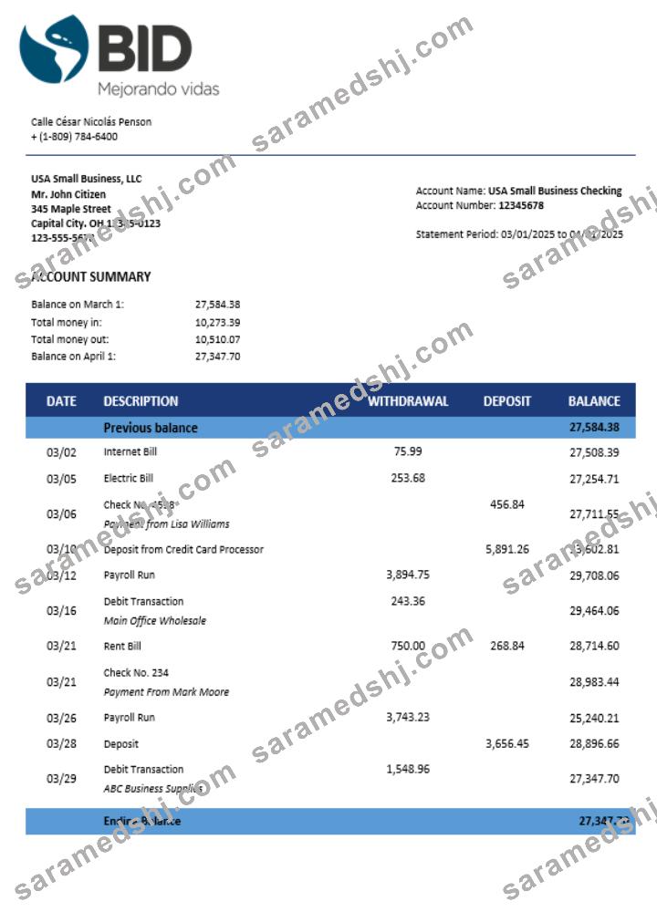 BID business account statement Word and PDF template